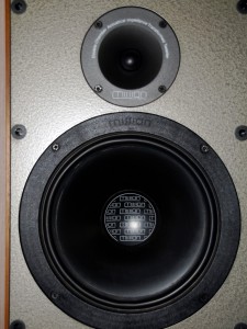 Top half of the Argonaut, 1in dome tweeter, 8in woofer.  A 2nd 8in woofer is below.